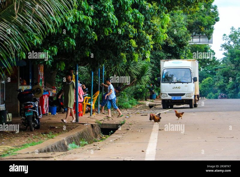 Image: Descubre el misterioso Camino del Pollo en línea en España